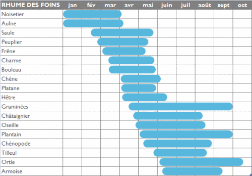 hooikoorts: pollenkalender